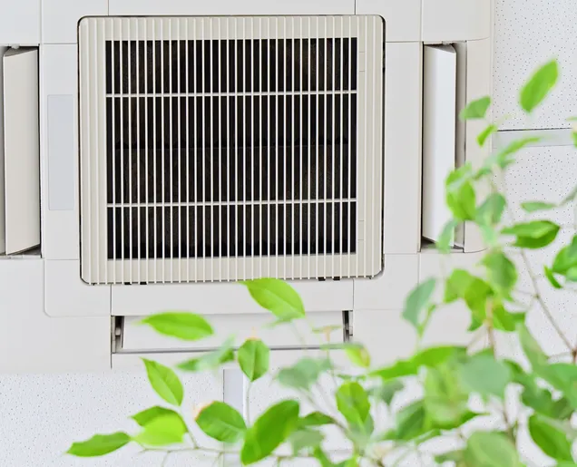 Indoor Air Quality Services in Lake Dallas, TX